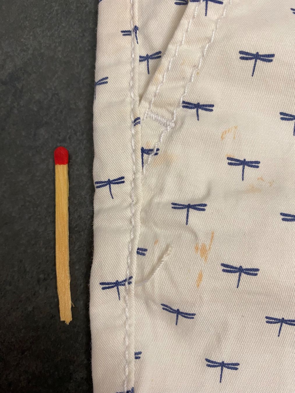 Esprit Pantaloni: Esprit Shorts Damen 38 – Usato da Summaprada venduto da hirschuh506 1