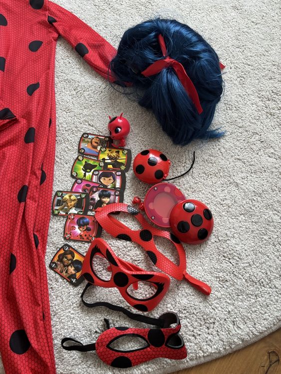 VERKLEIDUNGSSET LADY BUG (Gebraucht) in Stein AG für CHF 20 – mit ...