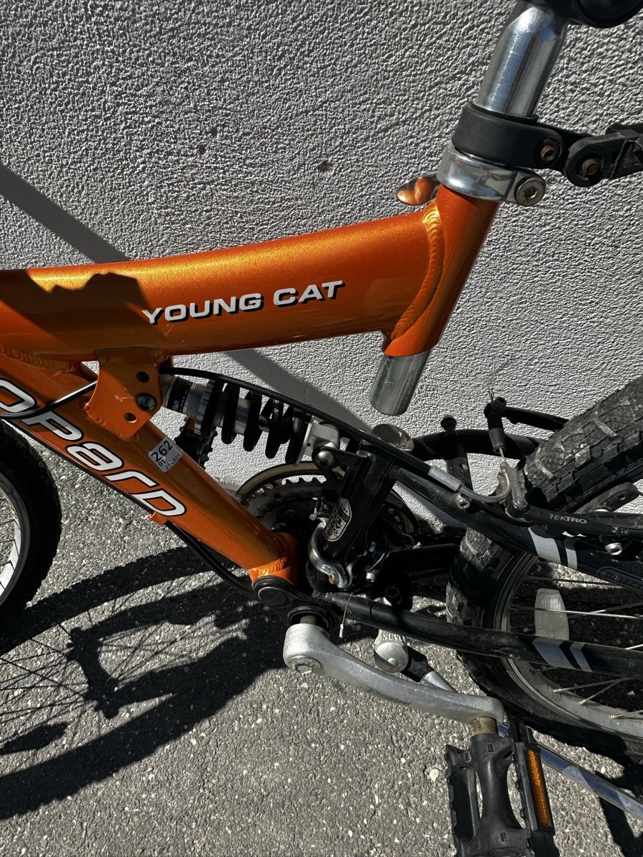Leopard Biciclette: Kinderfahrrad – Usato da Obersaxen venduto da sin_mvy5 4