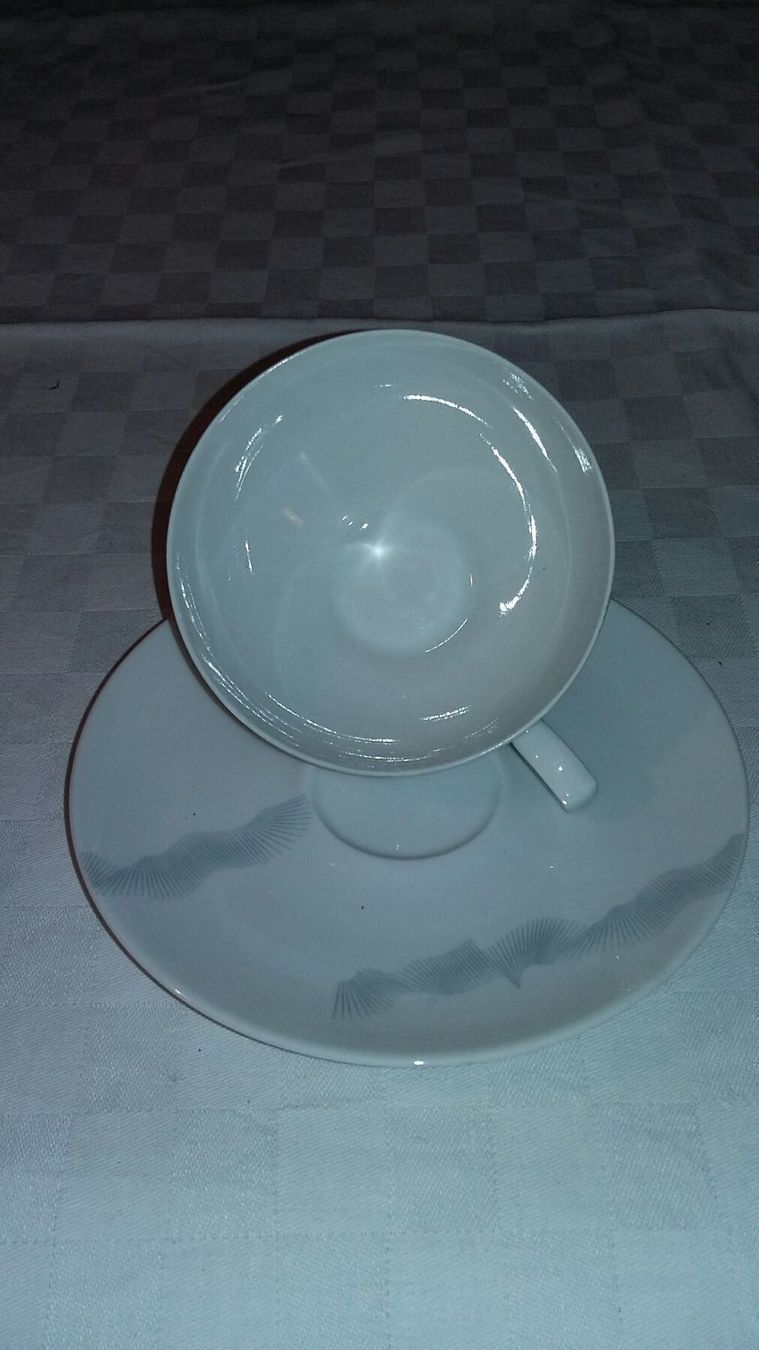 Tazze: 6er Eschenbach AZC Germany CaffeeSet – Usato da Bern venduto da Imamrashed 7