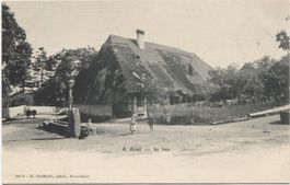 LANDWIRTSCHAFT/STROHDACHHAUS 1900 Ins BE