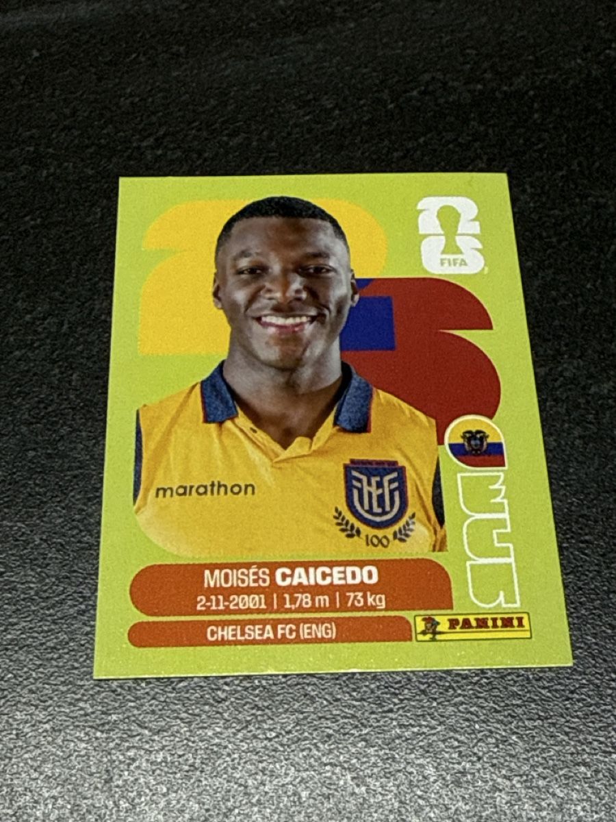 Panini Carte collezionabili: Panini WM Sticker ECU 9 – Nuovo e nell'imballaggio originale da Langwiesen venduto da xan_8pfb