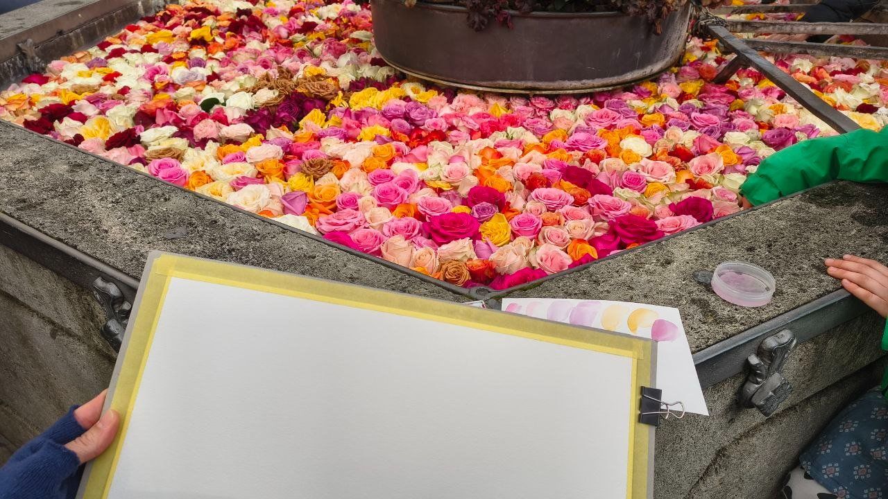 Dipinti: Rosen Aquarell Bild – Nuovo e nell'imballaggio originale da Zürich venduto da Margacrea 1