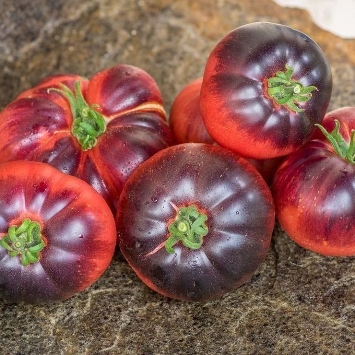 Piante & sementi: 50 Samen Amethyst Jewel Tomate – Nuovo (secondo la descrizione) da Ehrendingen venduto da VerveinaSamen 3