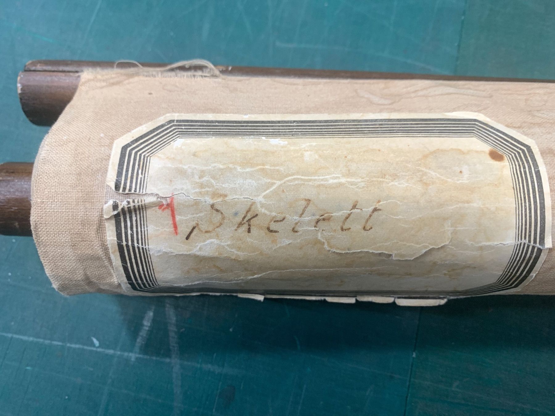 Foto & Immagini: Anatomisches Tabellenwerk Skelett – Usato da Ottikon venduto da Hogdog 6
