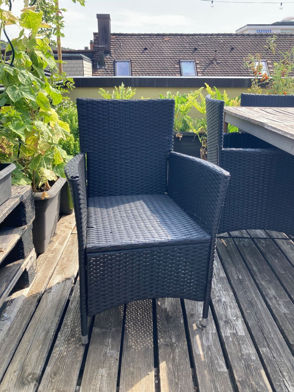 Sedie: Rattan Gartenstühle – Usato da Winterthur venduto da Celina.B.