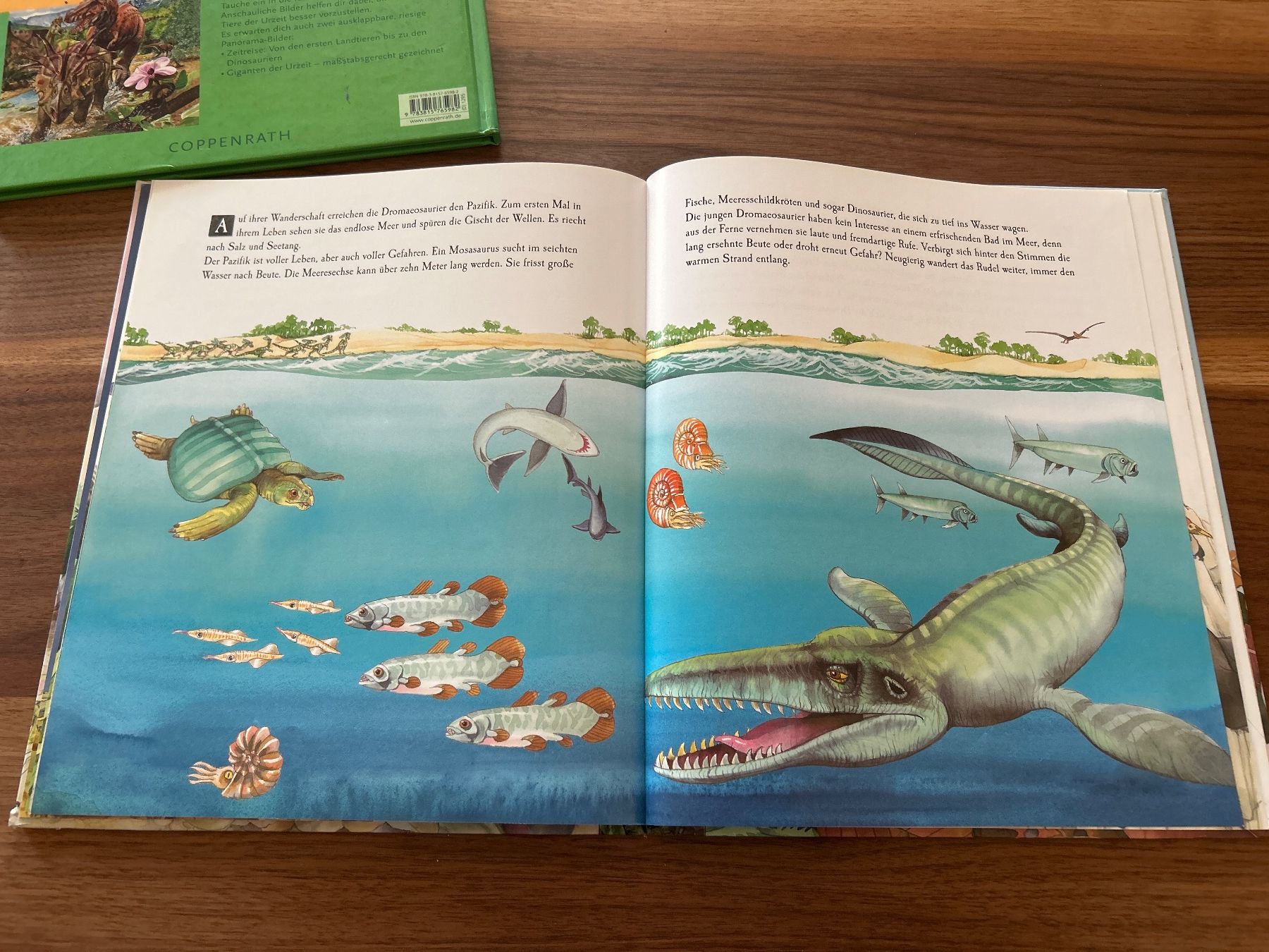 Libri: Dinosaurier Bücher von Coppenrath – Usato da Magden venduto da ctw_mp7b 2