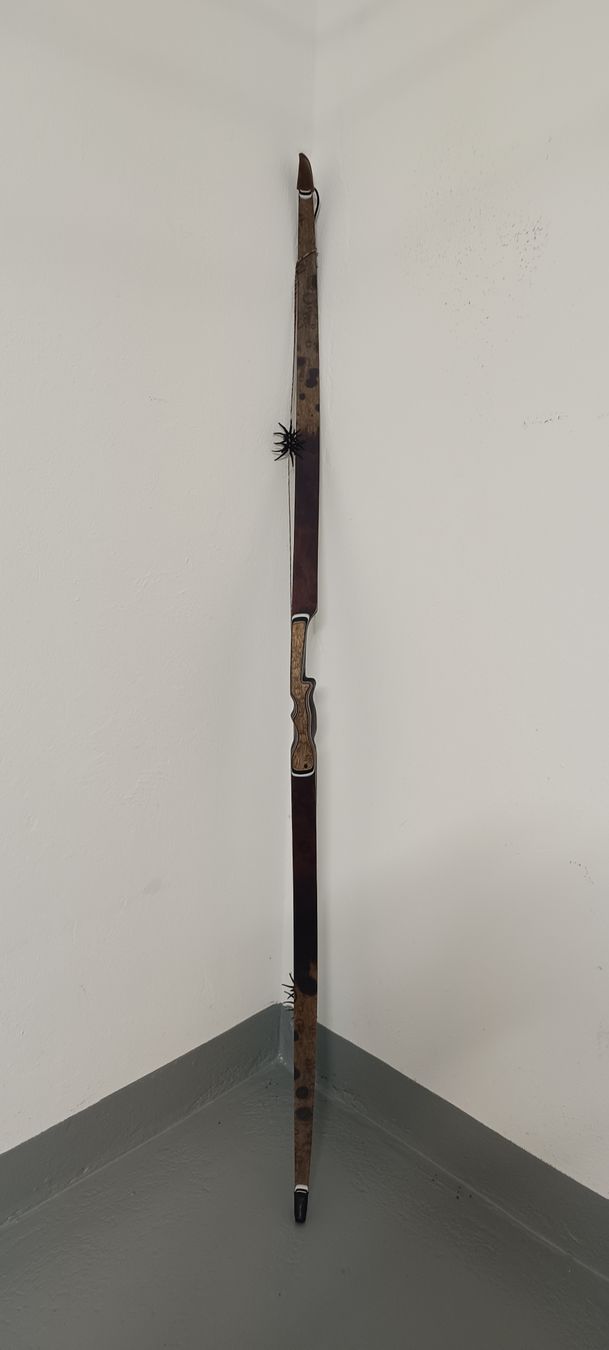 Tiro con l'arco: Hybrid Custom Bogen – Nuovo (secondo la descrizione) da Rothrist venduto da Pfadfinder03 7