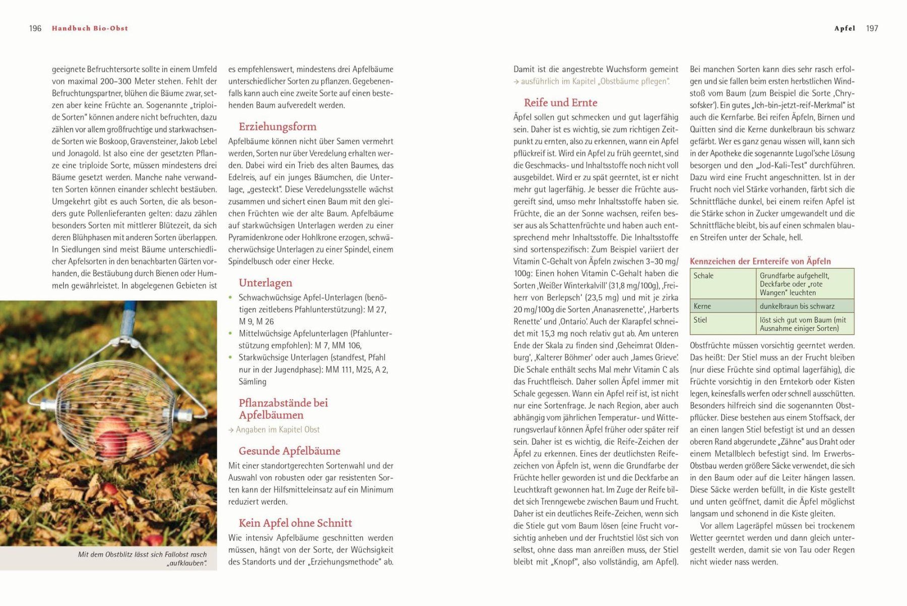 Libri: Handbuch Bio-Obst – Nuovo e nell'imballaggio originale da Unterkulm venduto da jenswolk 2