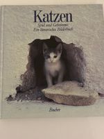 Katzen - Spiel und Geheimnis: Ein literarisches Bilderbuch🐈