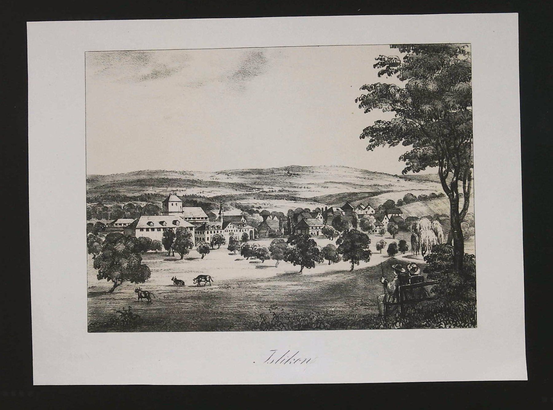 Incisioni: Islikon Tonlithographie 1833 – Usato da Rafz venduto da booksell