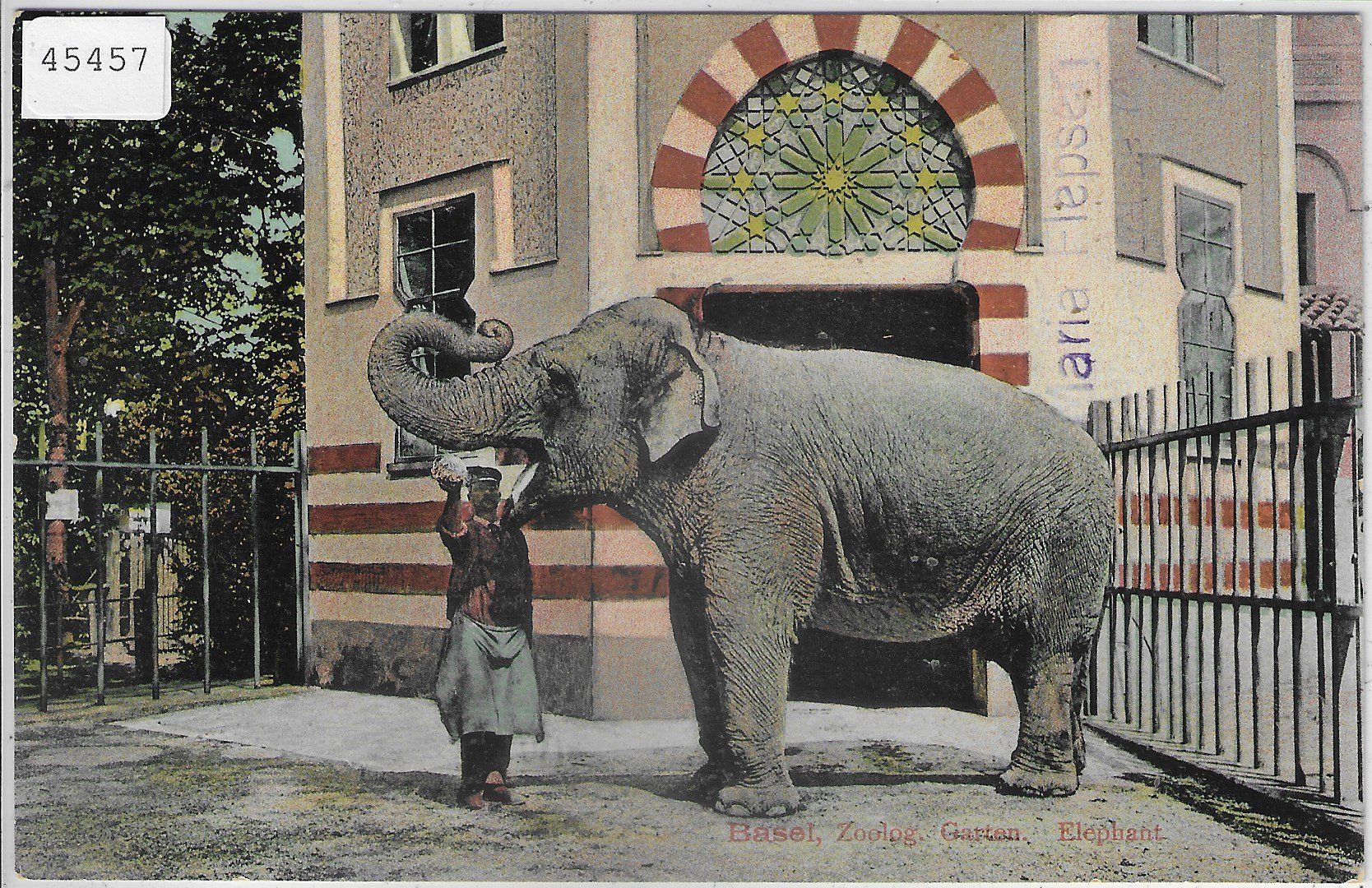 Cartoline postali: Basel - Zoolog. Garten - Elephant – Usato da Ettingen venduto da Kartenplanet