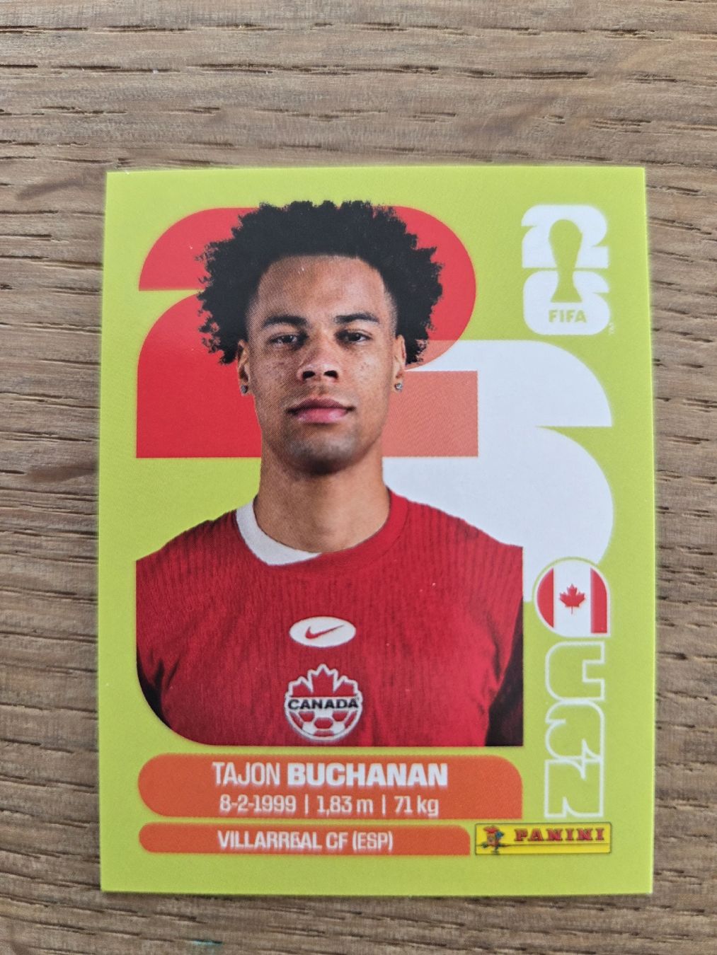 Panini Carte collezionabili: Panini Sticker 2026 CAN 17 – Nuovo (secondo la descrizione) da Luzern venduto da .Skylake.