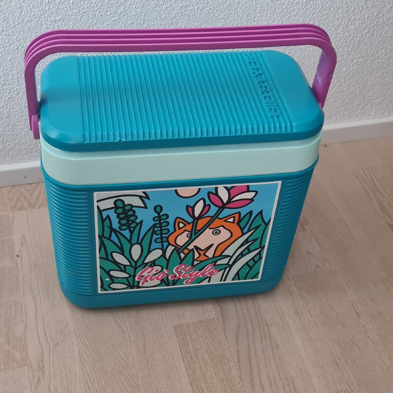 Réfrigérateurs et refroidissement: Kühlbox GIO'STYLE – D'occasion à Steinen par turbogeiss99 3