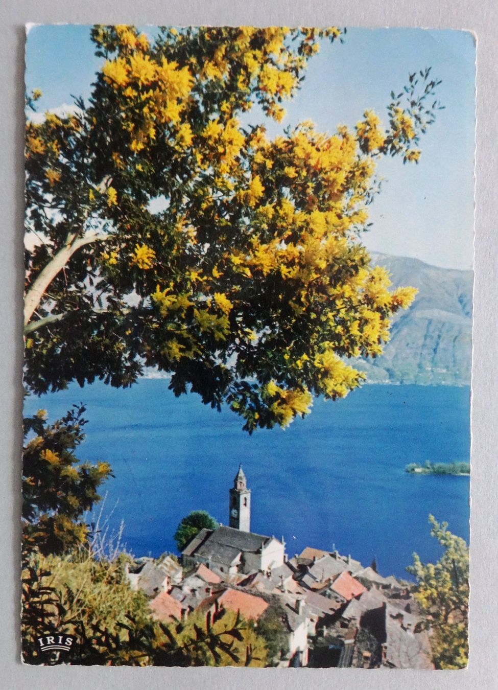 Ansichtskarten: Ronco s. Ascona (Lago Maggiore) – Gebraucht aus Fétigny von Billy2miny