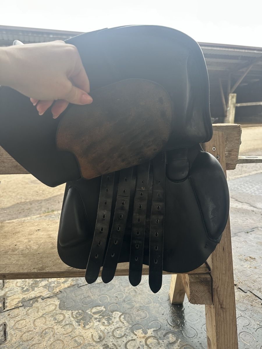 Selle & Accessori: Labelle VS Sattel (Springen) 17.5” – Usato da Männedorf venduto da kajuar 5