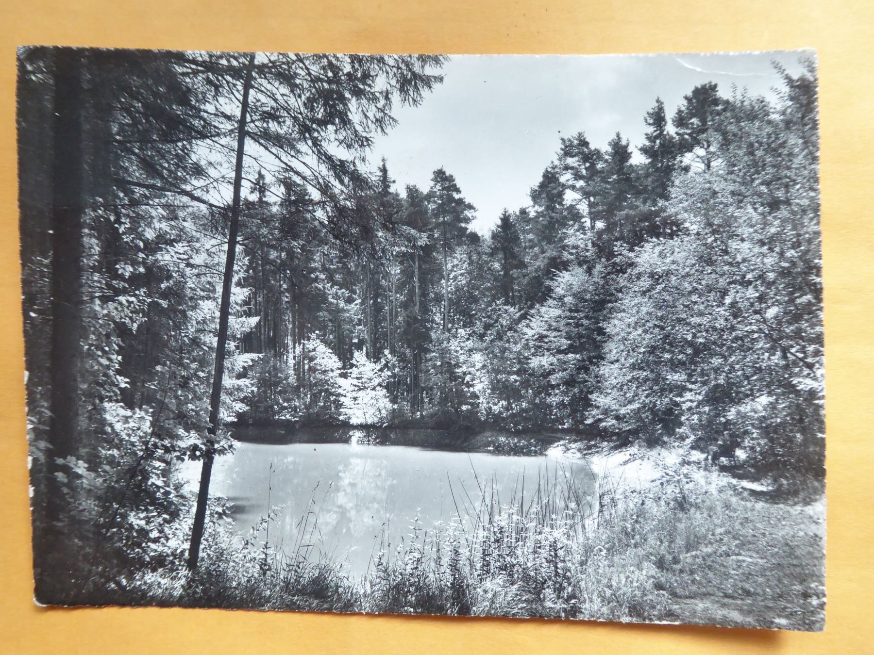 Cartoline postali: 1968  Waldweiher, Schloss Eugensberg am Untersee – Usato da Zürich venduto da Chaeffeler