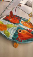 Tragbare Spielmatte Fisher Price