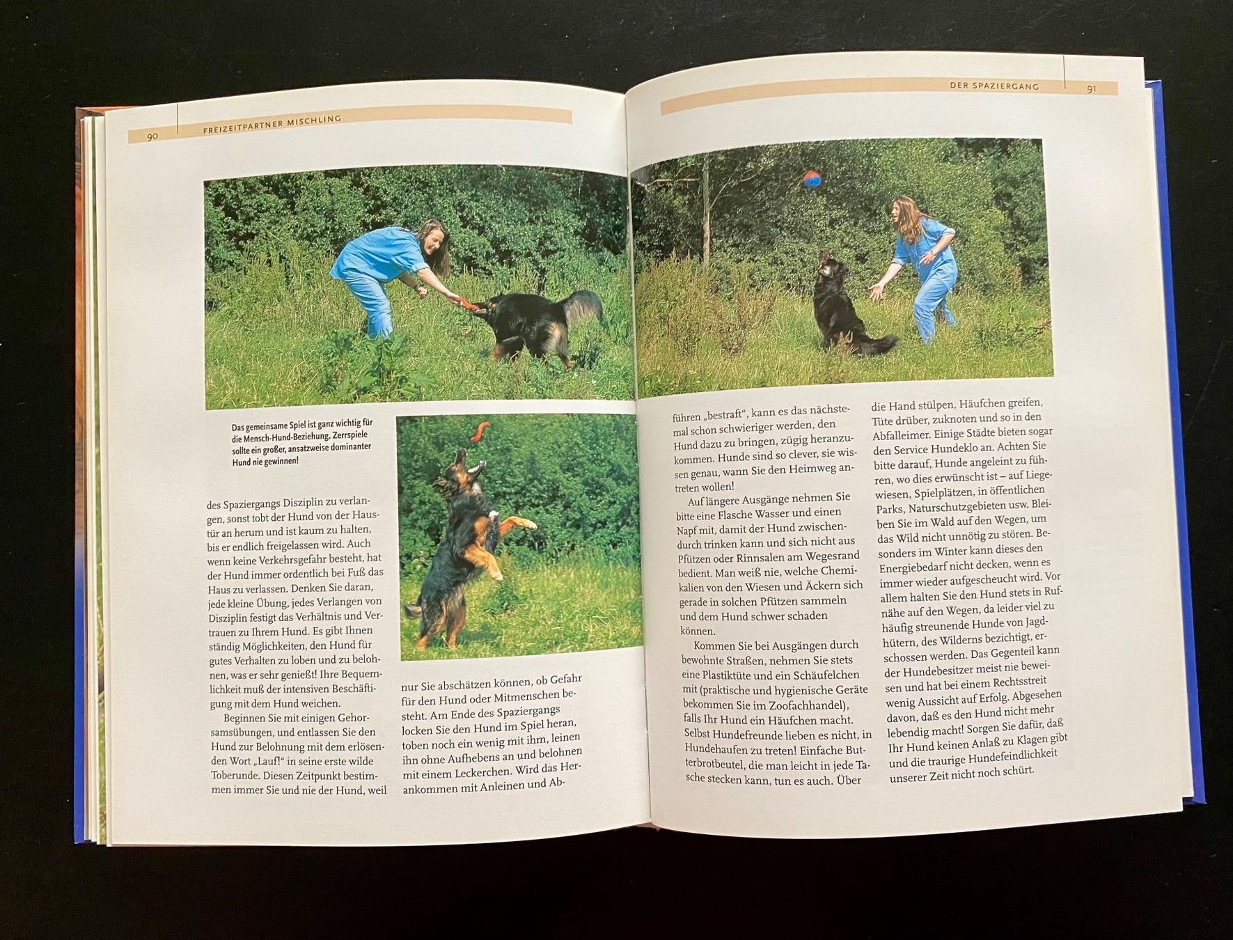 Libri: Mischlinge / PraxisWissen Hund – Usato da Nussbaumen AG venduto da schuba2000 5