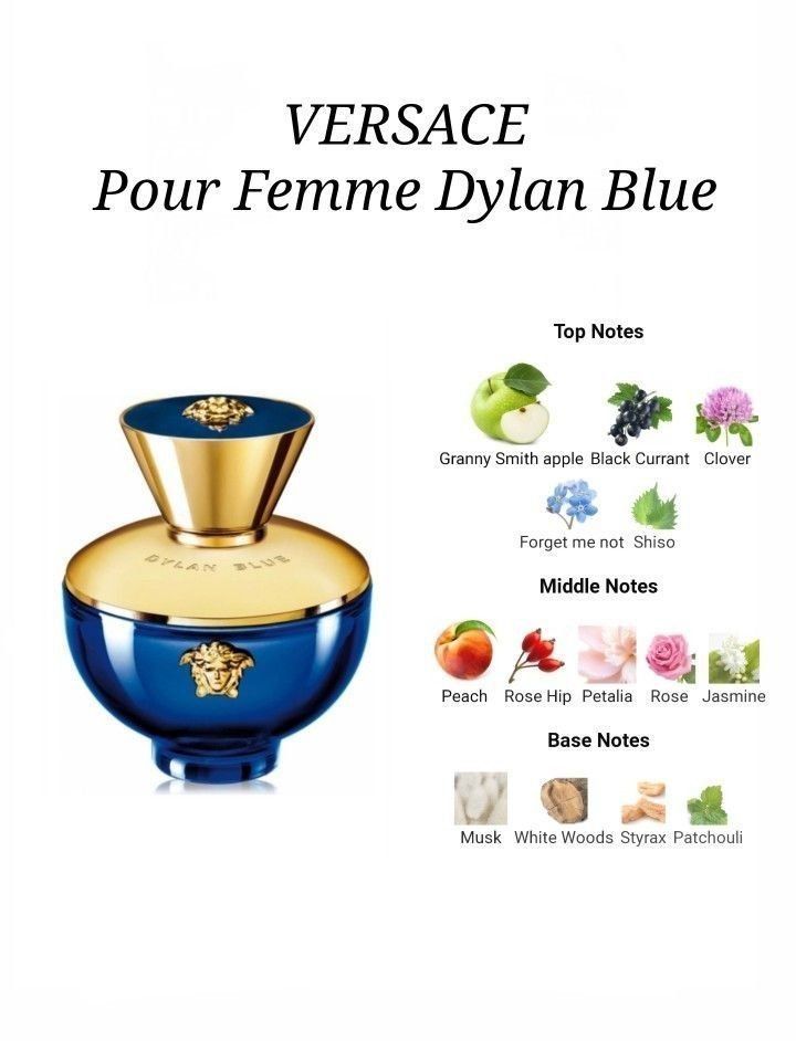 Versace Parfum & Eau de Toilette: Versace Pour Femme Dylan Blue – Neu und originalverpackt aus Flums von Inna77 2