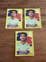 Fussball Sticker Panini Alex Paulsen Max Crocombe NZL