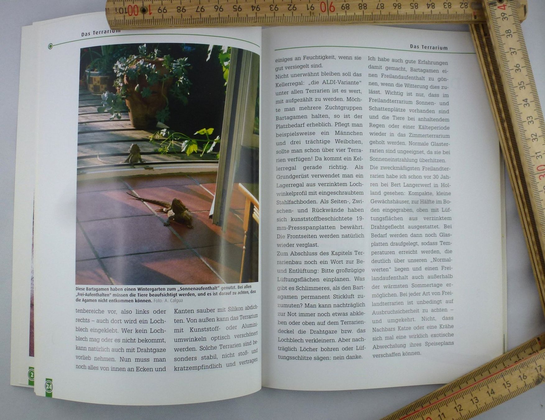 Libri: Die Bartagame Pogona Vitticeps – Usato da Murgenthal venduto da B.StM 2