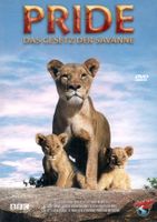 DVD: Pride - Das Gesetz der Savanne