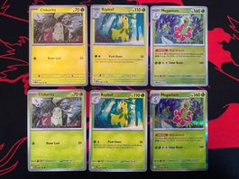 Mega Evolutions - Maganium evolutions (Basic + R.Holo) set