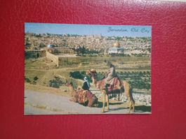 AK Israel Blick auf die Altstadt Jerusalem Kamele