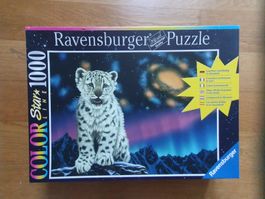 Tiger mit romantischem Hintergrund