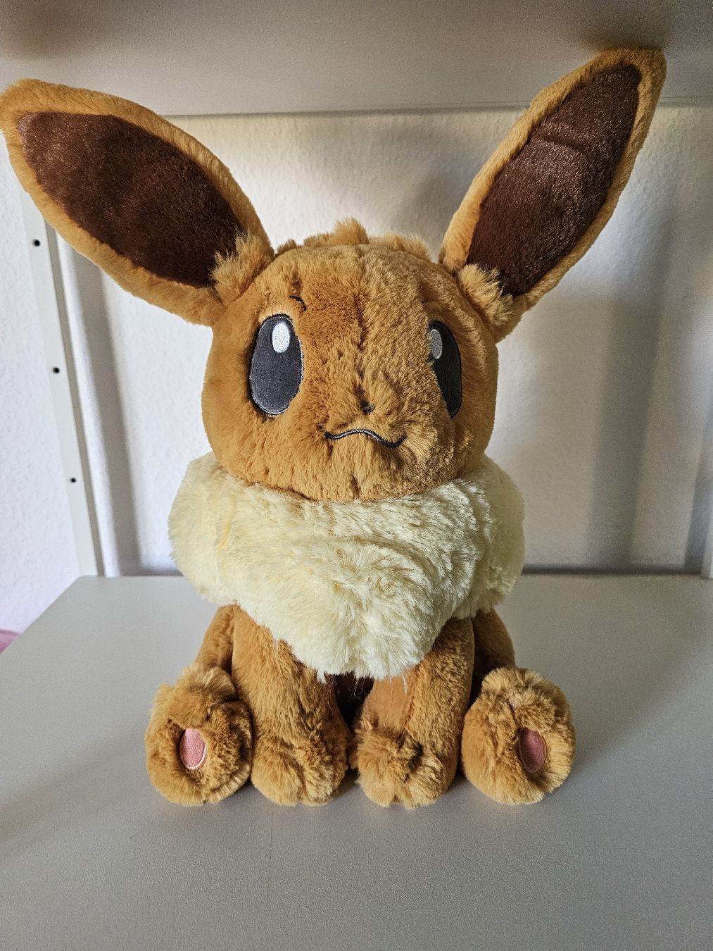 Pokémon Giocattoli: Pokemon Comfy Friends Evoli Plüsch – Nuovo (secondo la descrizione) da St. Gallen venduto da plh_n2wm