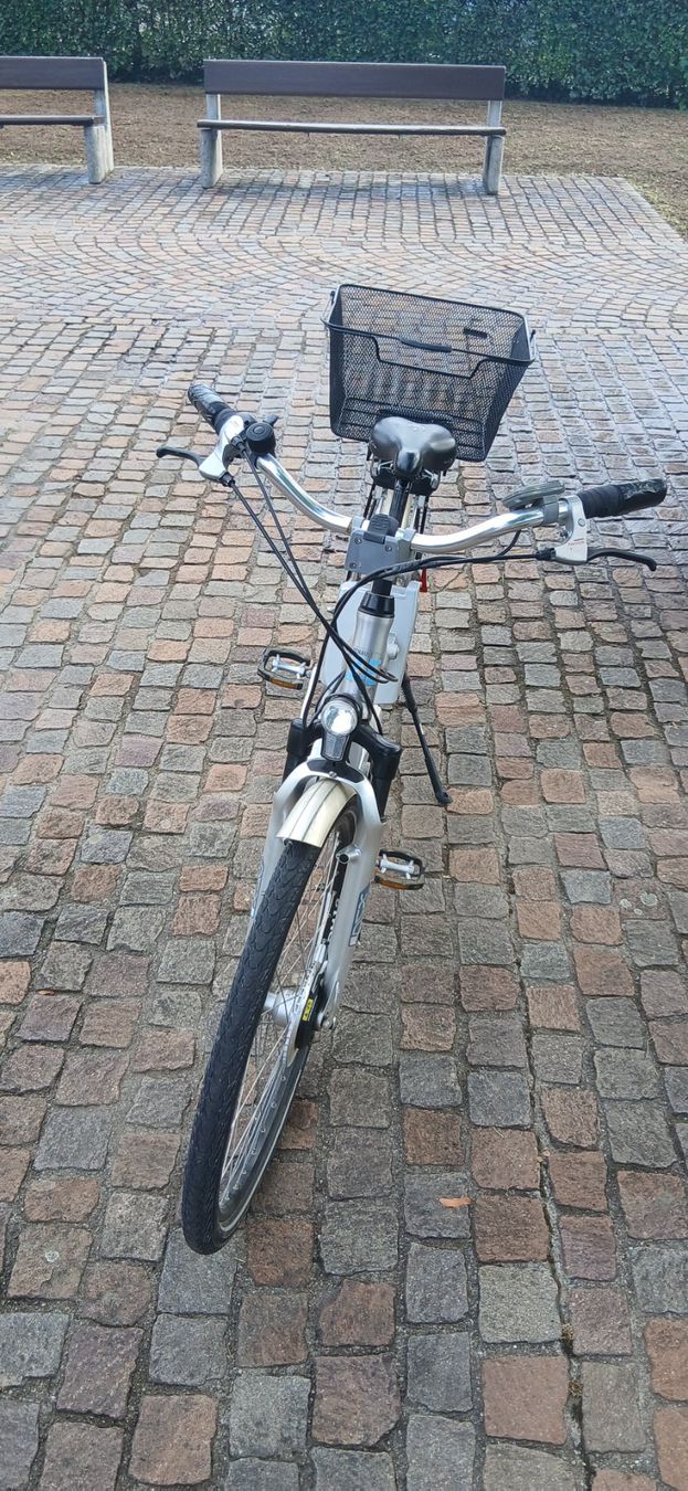 Flyer Biciclette: Flyer E-Bike 25km/h mit Korb – Usato da Schinznach-Bad venduto da bmw1802 1