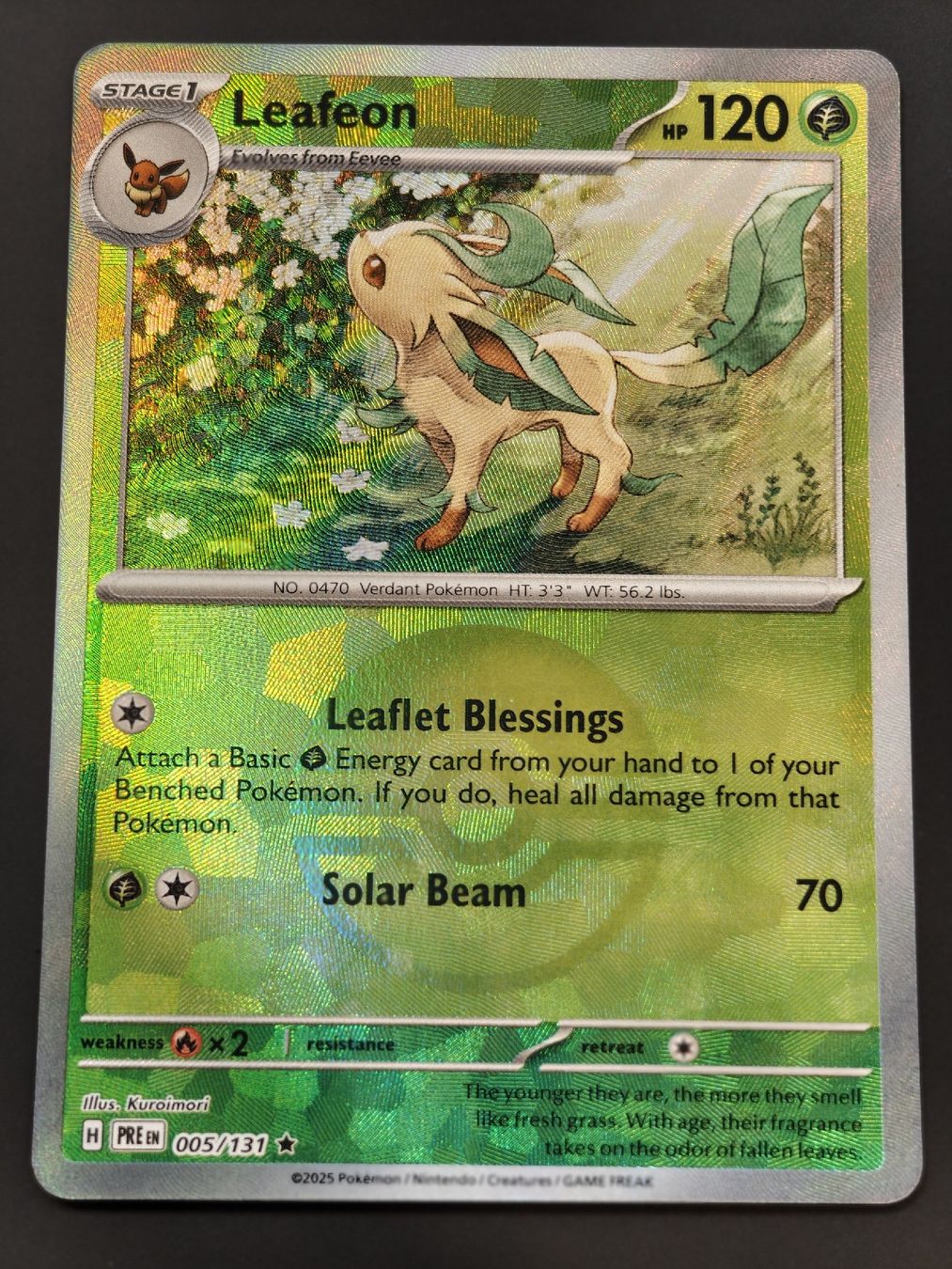 Pokémon Carte collezionabili: Leafeon 005/131 Pokeball EN – Nuovo (secondo la descrizione) da Therwil venduto da Cordachu_Trade