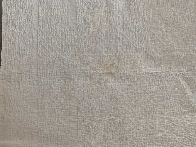 Coperte: Antique Quilt Tulips in Pot – Usato da Rudolfstetten venduto da Bungur 6