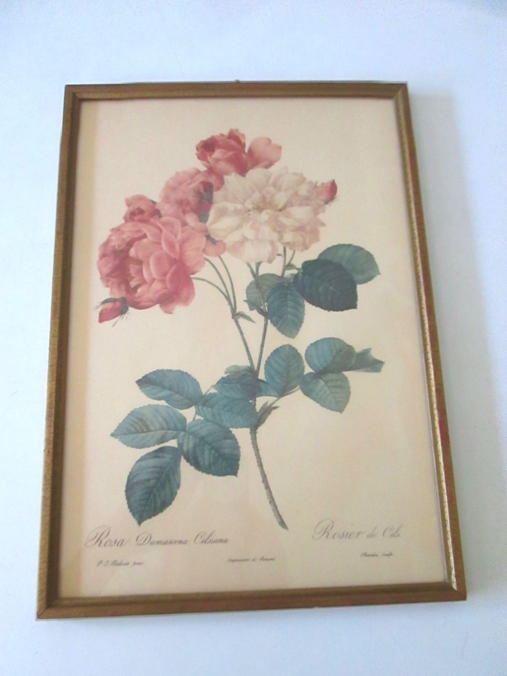 Foto & Immagini: 2 Vintage-Bild (Papier) – Usato da Sementina venduto da babucia 1