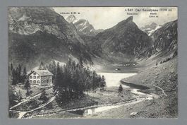 SEEALPSEE, *