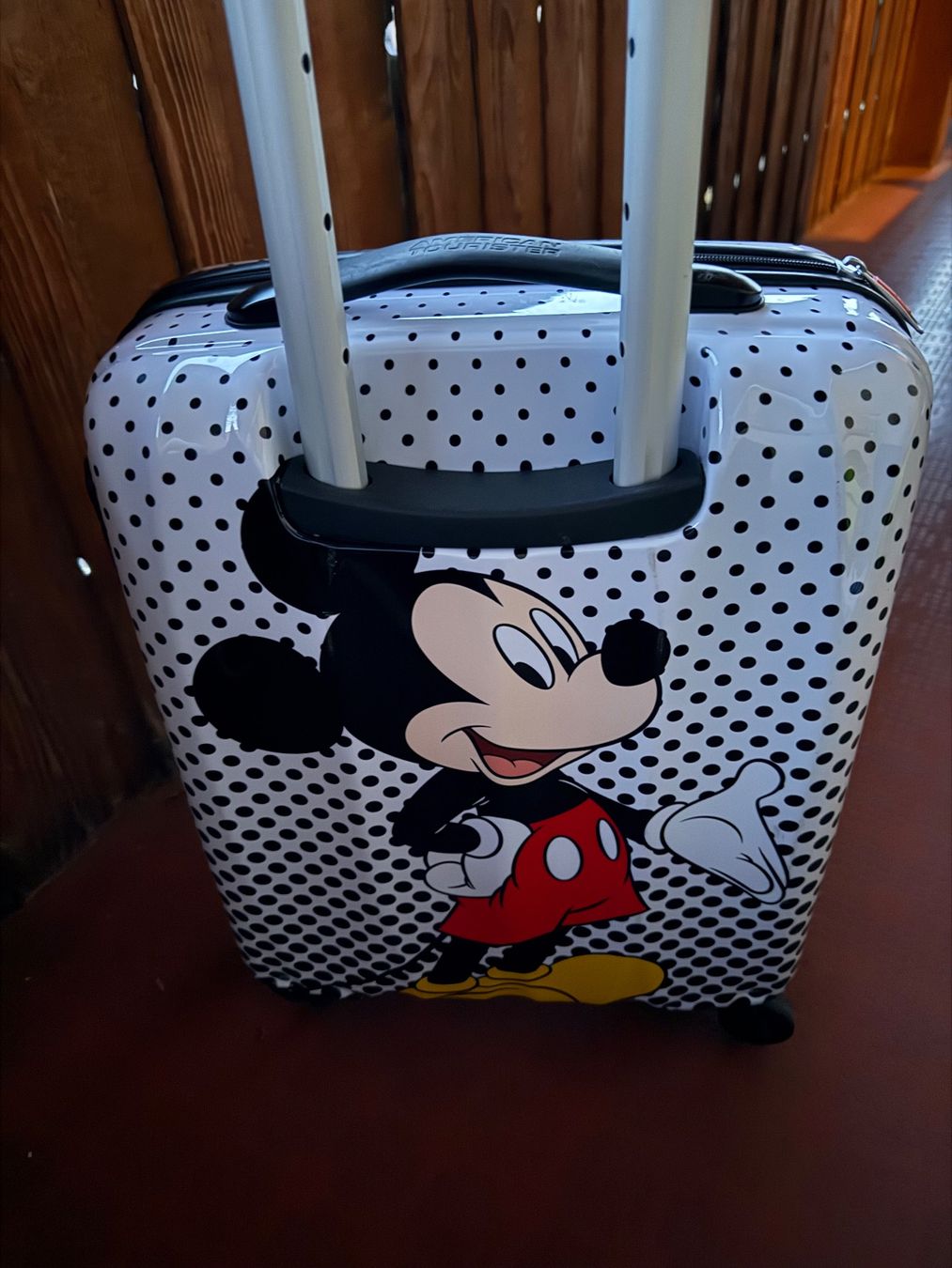 Disney Valigie: Kinder Koffer – Usato da Gwatt (Thun) venduto da imwinke 1