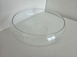 Dekorative Glasschale, Leonardo