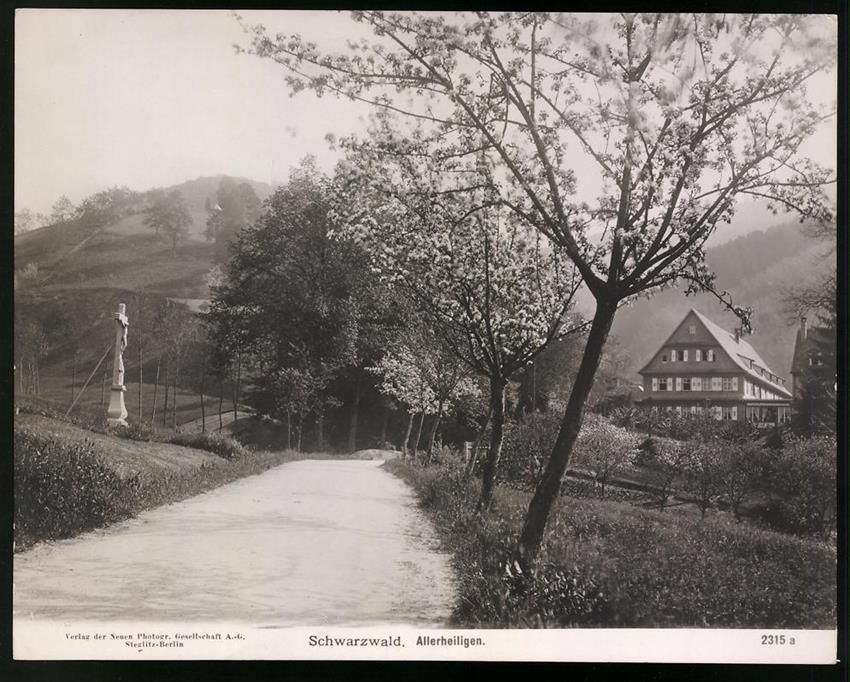 Fotografie & Manifesti: Fotografie Allerheiligen / Schwarzwald,  – Usato da Berlin venduto da bartko-reher