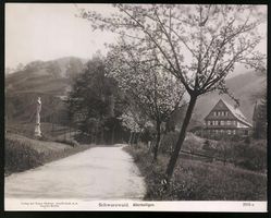 Fotografie Allerheiligen / Schwarzwald, 