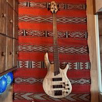 Cort B4 Element Bass Guitar mit Gigbag - Top Zustand! 🎸