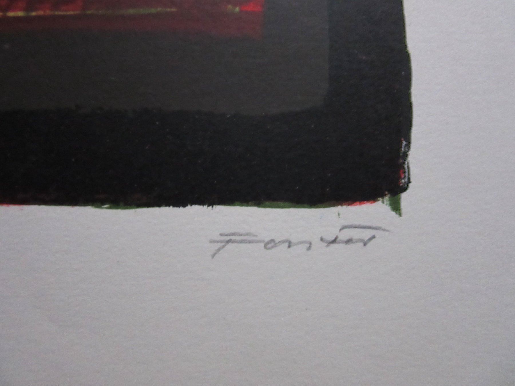 Grafica & Litografie: HANS FORSTER LITHOGRAPHIE SIGNIERT NUMMERIERT – Usato da Gersau venduto da grafik-kunst 1