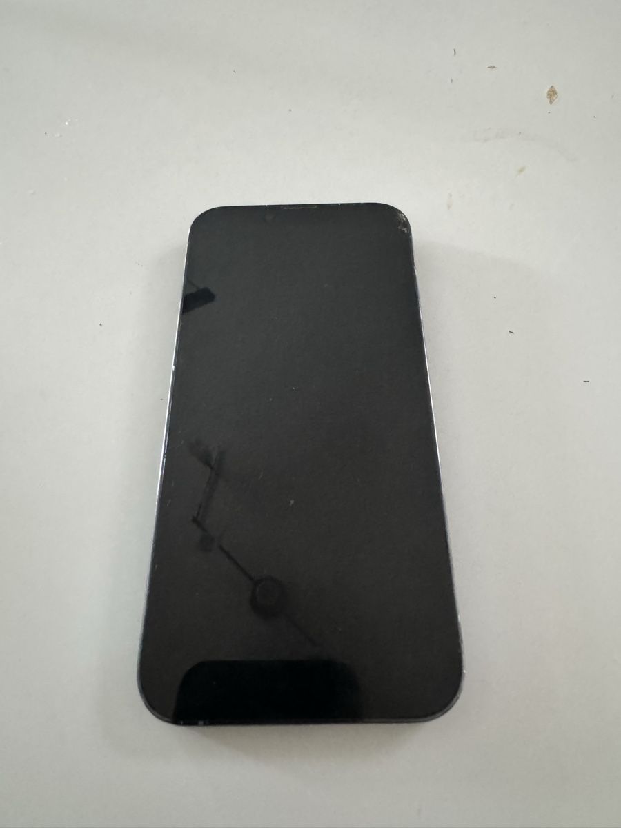 Apple Telefoni cellulari / Smartphones: iPhone 13 Pro used blue – Usato da Zürich venduto da jes_2wyq 1