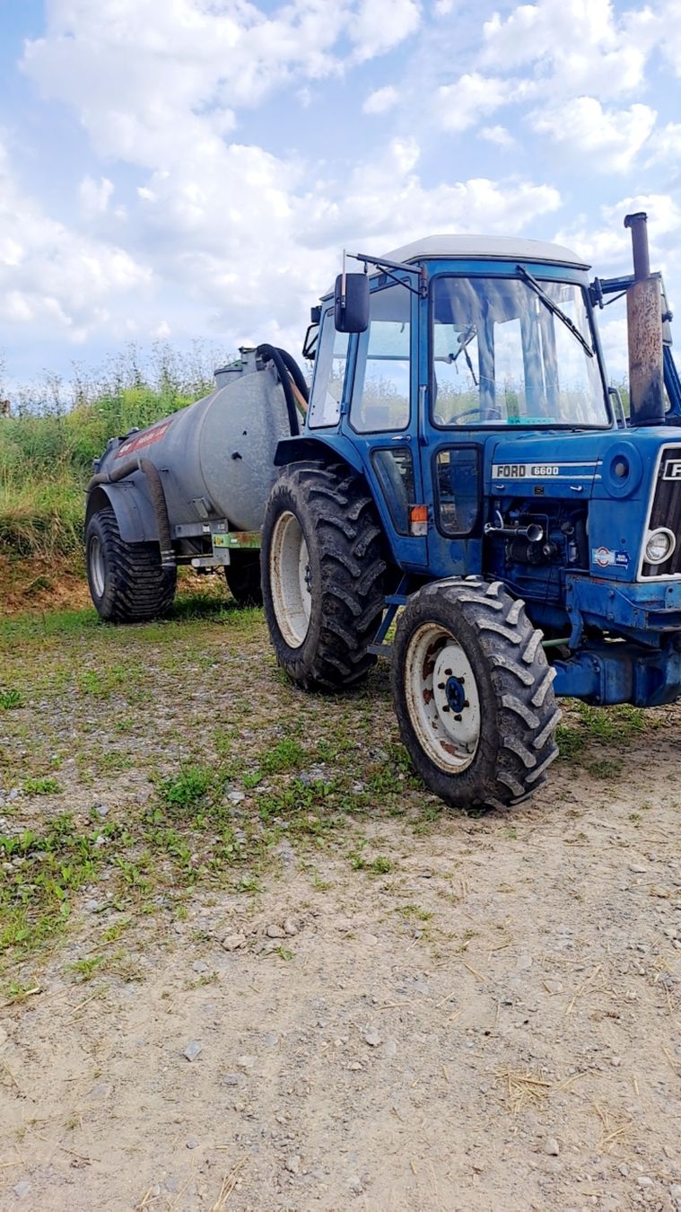 Ford Trattori: Ford 6600 Traktor – Usato da Lengnau venduto da jah_m6ph 9