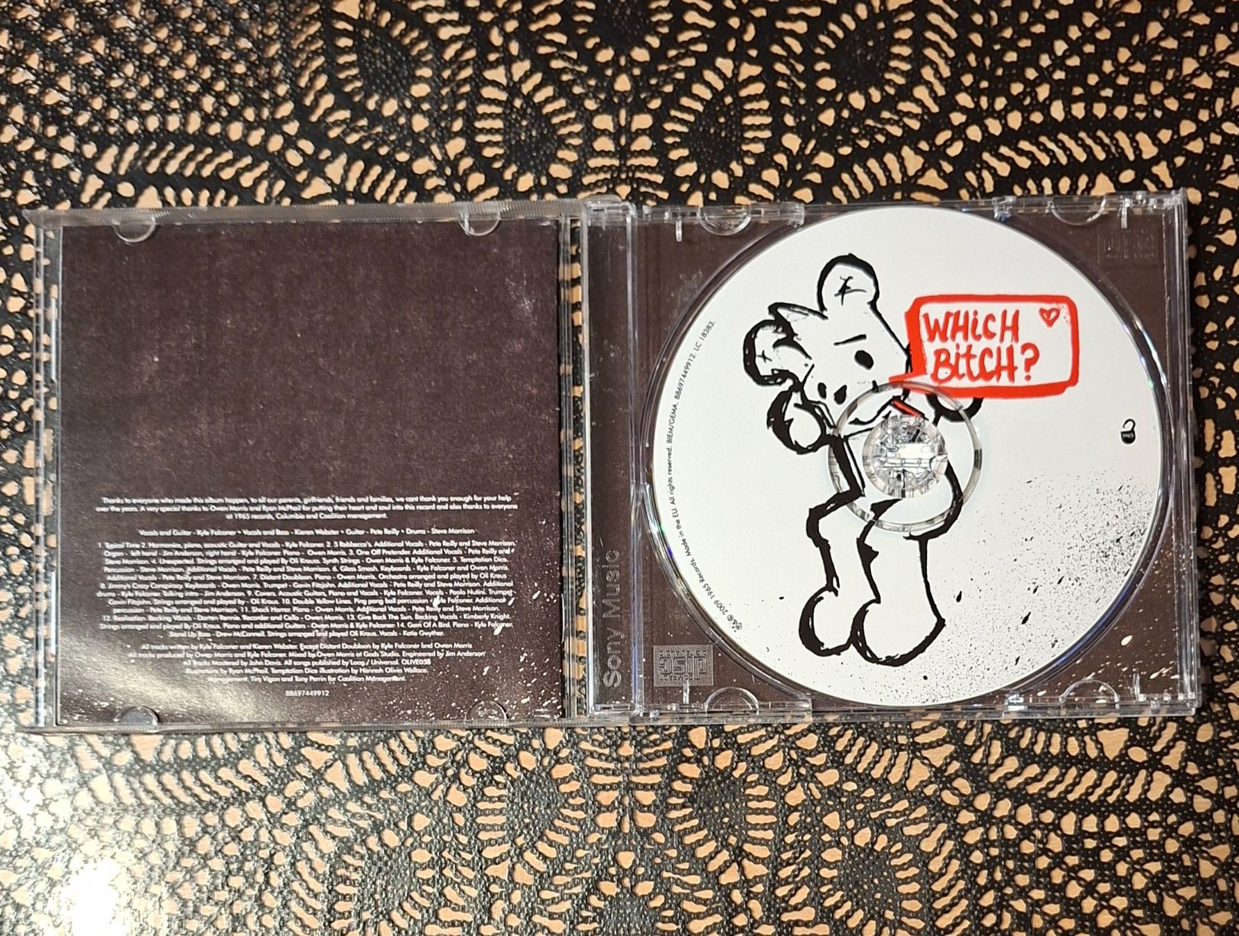 CDs: The View - Which Bitch, SCO Rock CD Album 2009 – Gebraucht aus Schönenberg TG von Gregordini 2