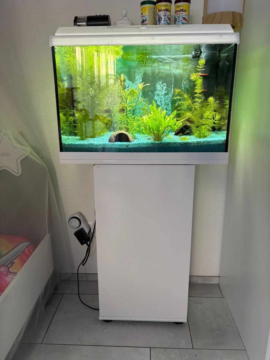 Acquari: Juwel Aquarium mit Unterschrank – Usato da Unterlunkhofen venduto da Fabio250