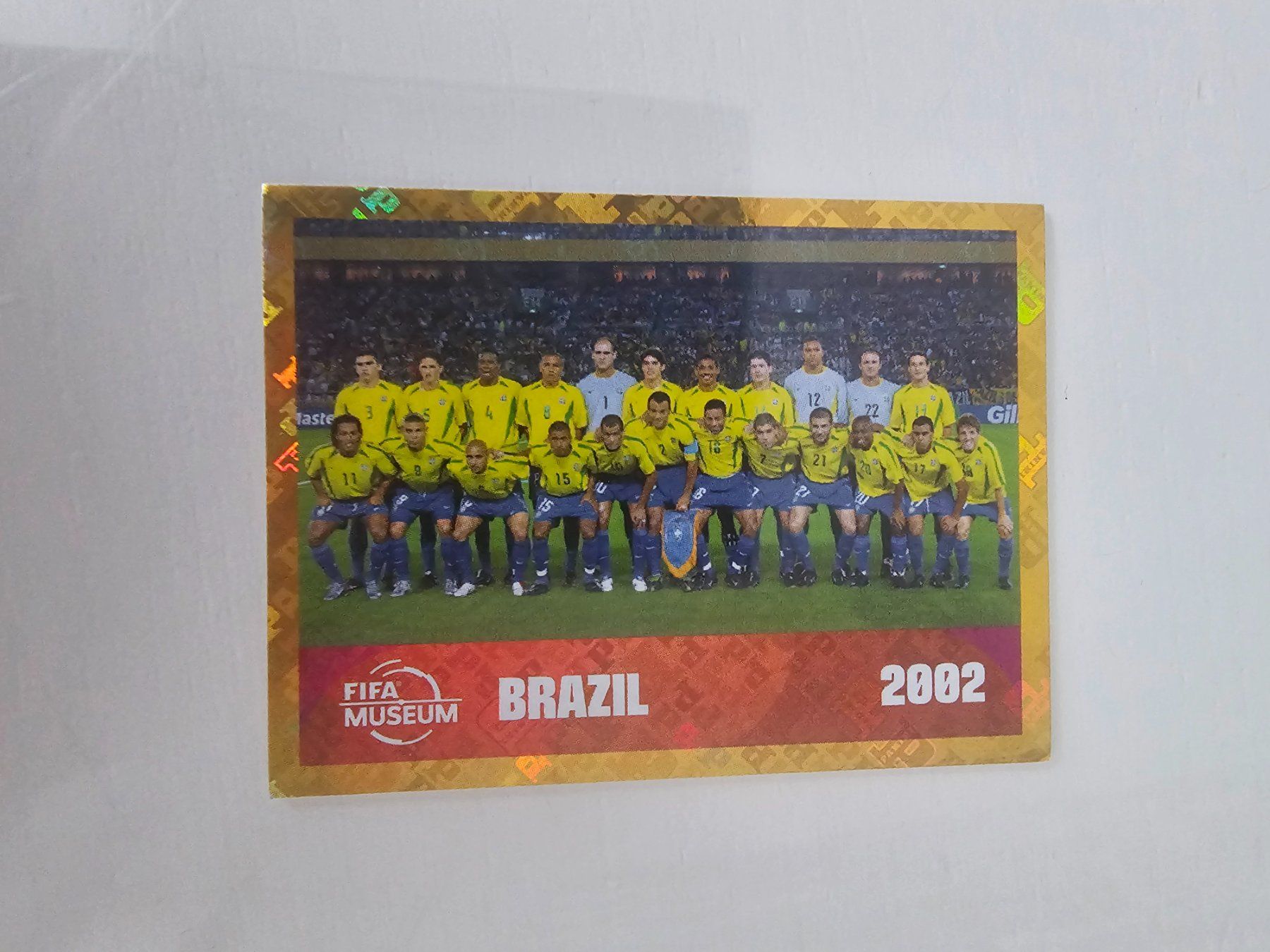 Panini Carte collezionabili: Fwc 16 – Usato da Pregassona venduto da sig_6v2k