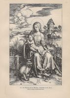 Antik Druck 1891 - Albrecht Dürer, Madonna mit Meereskatze