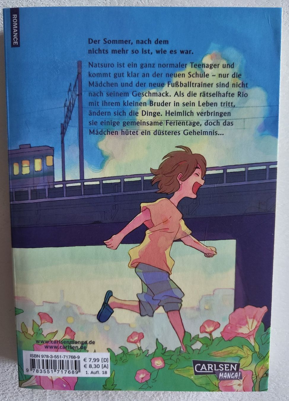 Comics: Manga: Our Summer Holiday - Einzelband – Gebraucht aus Zürich von IceTea02 1