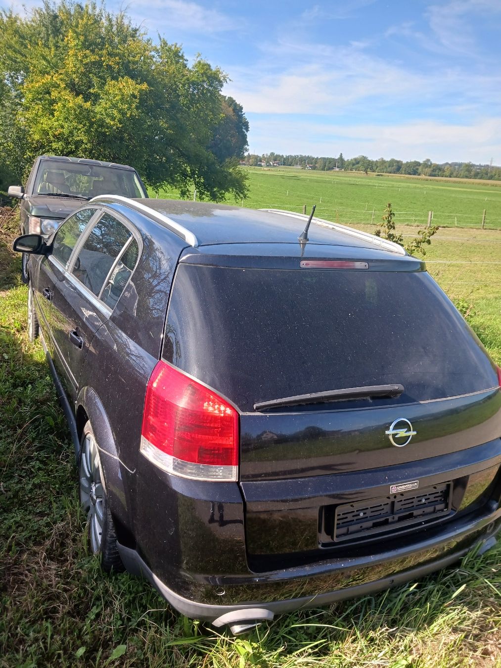 Opel Automobili: Opel Signum – Difettoso da Mönchaltorf venduto da who_nvc6 1